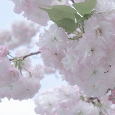 Furry数位板绘画教程Furry群