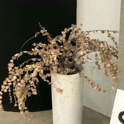 Furry绘画质感技巧兽圈群